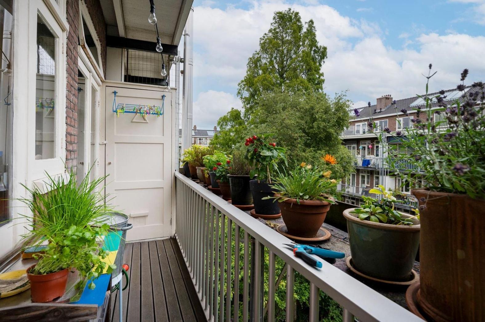 Apartment Sandra Amsterdam Dış mekan fotoğraf